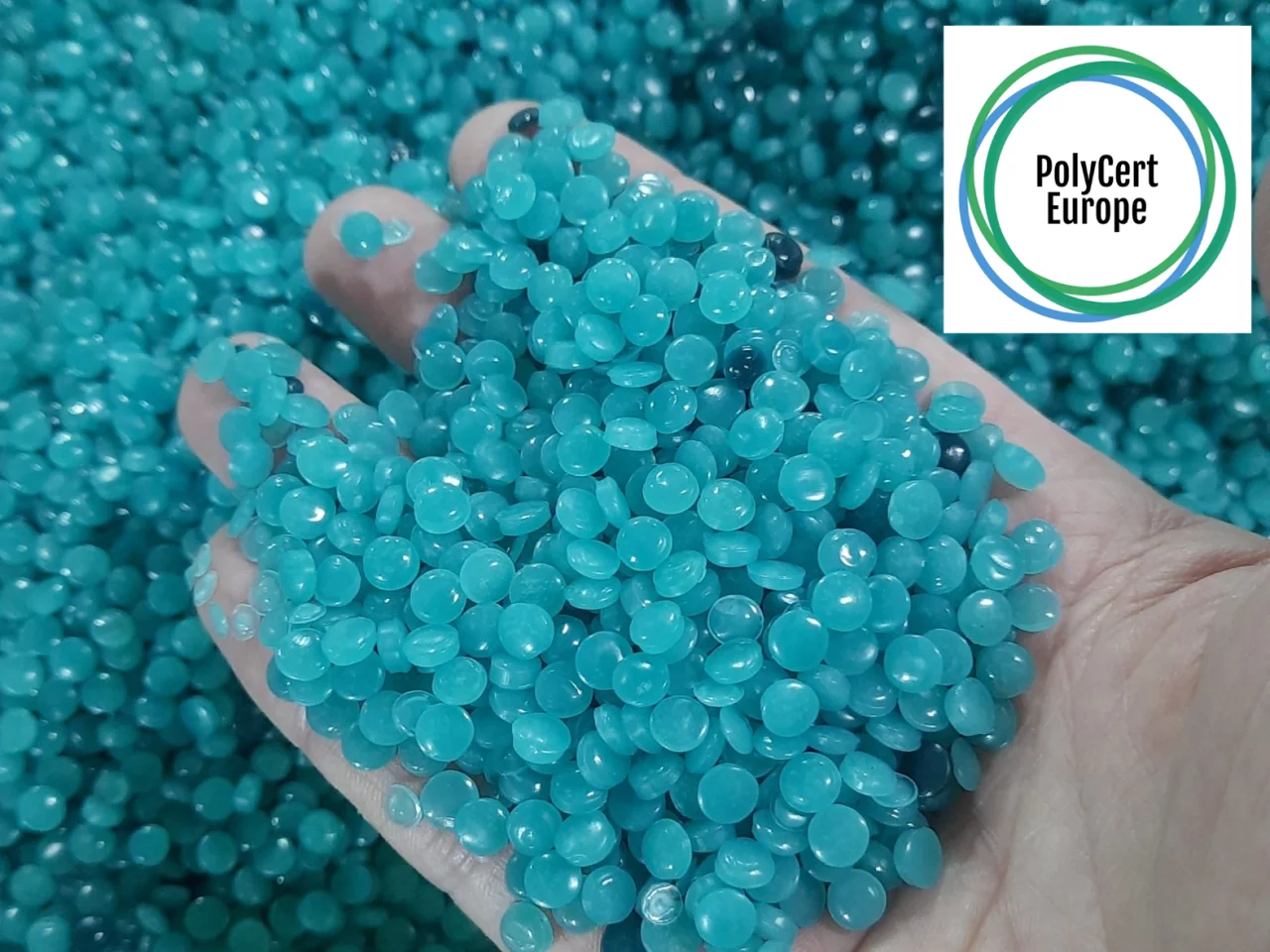 OCEAN GREEN PROFILES POLYCERT